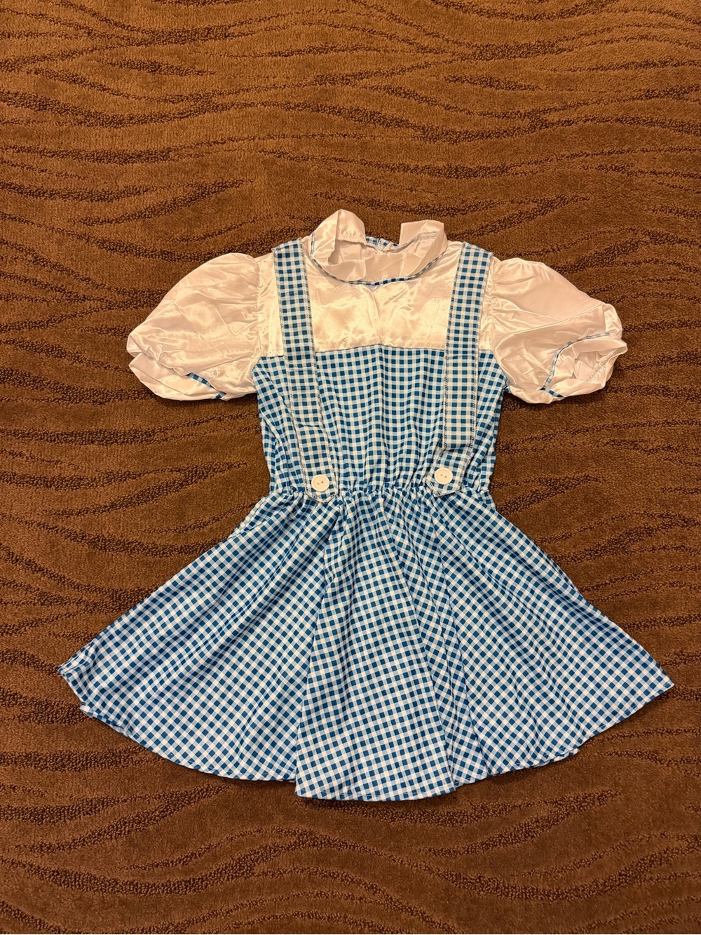 The Wizard of Oz | Dorothy Costume (Medium)